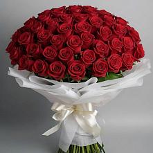 Букет 101 Красная роза Блэк Мэджик в Черемушки
