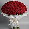 Букет 101 Красная роза Блэк Мэджик в Черемушки