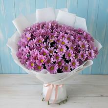 Букет цветов из:  Хризантемы в Черемушки