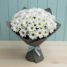 Букет цветов из:  Хризантемы в Черемушки