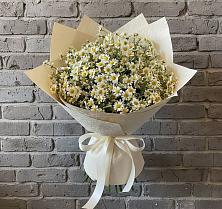 Букет цветов из:  Ромашки в Черемушки