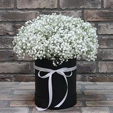 Цветочная композиция из Гипсофила в шляпной коробке в Черемушки