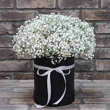 Цветочная композиция из Гипсофила в шляпной коробке в Черемушки