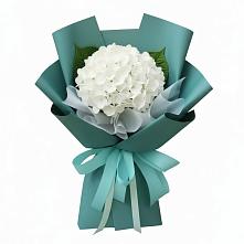 Букет цветов из:  Гортензия в Черемушки